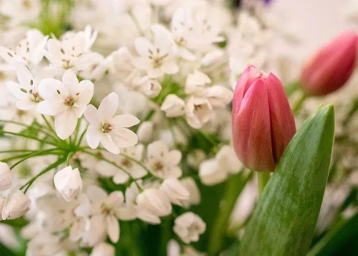 Campo Marzio Charming 4* Roma