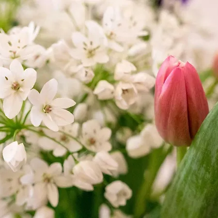 Campo Marzio Charming 4* ローマ